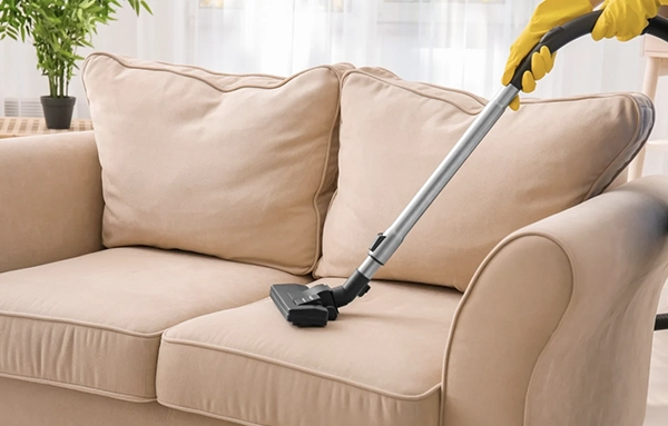 Professional couch cleaning in a historic Snohomish home
