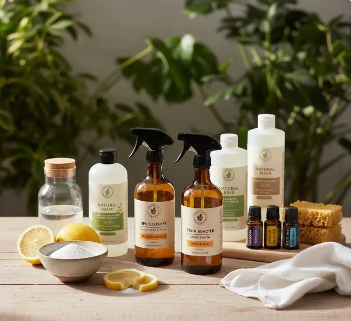 Eco-friendly plant-based upholstery cleaning products used in Seattle