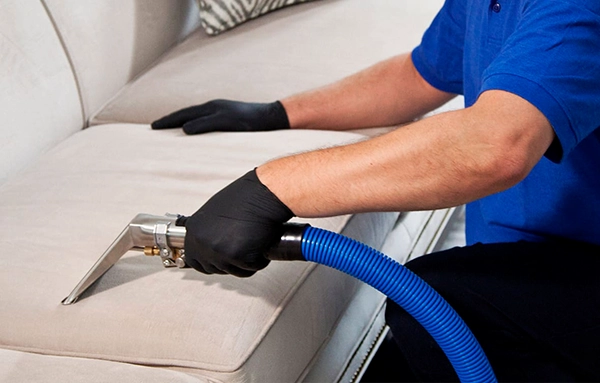 Professional furniture cleaning in a modern Seattle home