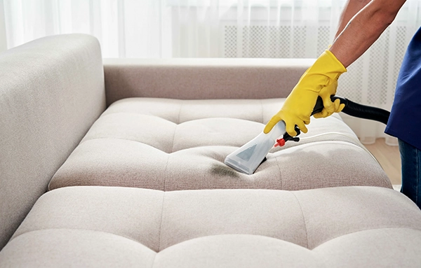 Professional sofa cleaning service in Seattle